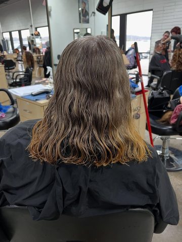 Shampoo vs. Conditioner